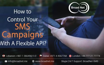 How to Control Your SMS Campaigns with A Flexible API?