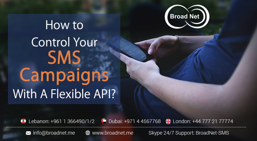 How to Control Your SMS Campaigns with A Flexible API?