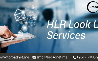 BroadNet Technologies- Provider of Best HLR Look Up Services in the Market