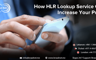 How HLR Lookup Service Can Increase Your Profit
