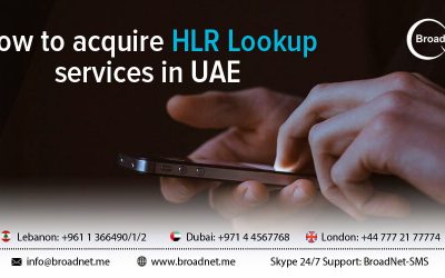 How to acquire HLR Lookup services in UAE
