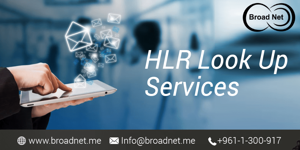 BroadNet Technologies- Provider of Best HLR Look Up Services in the Market