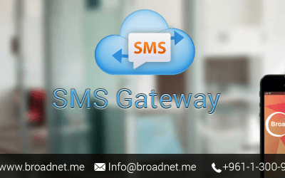 Bulk SMS Gateway- A Sophisticated System to Advance Your Business Growth