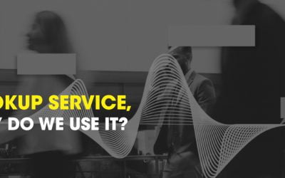 WHAT IS HLR LOOKUP SERVICE, AND WHY DO WE USE IT?