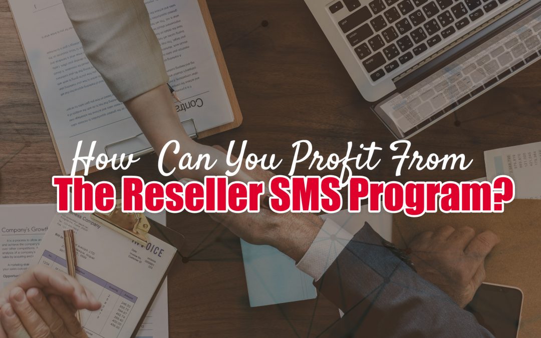 HOW CAN YOU PROFIT FROM THE RESELLER SMS PROGRAM?
